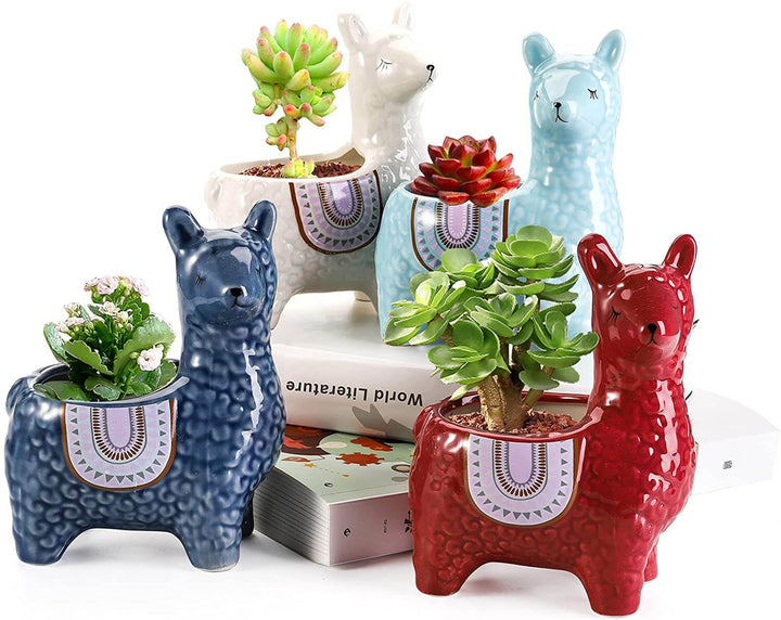 Skanto | Alpaca keramiske potter for plantene dine