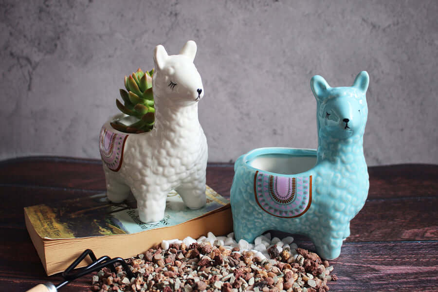 Skanto | Alpaca keramiske potter for plantene dine