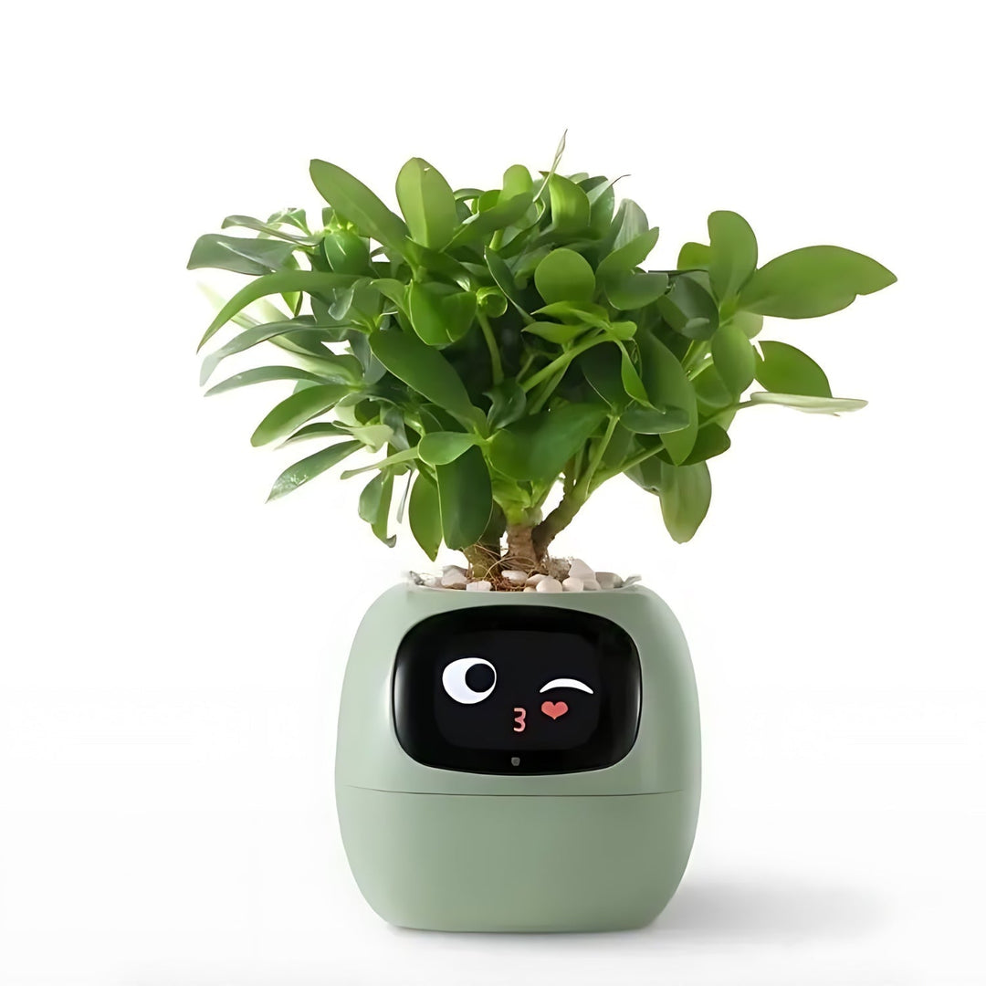 Skanto | Automatisk Smart Blomsterpotte - GreenBuddy SmartPot