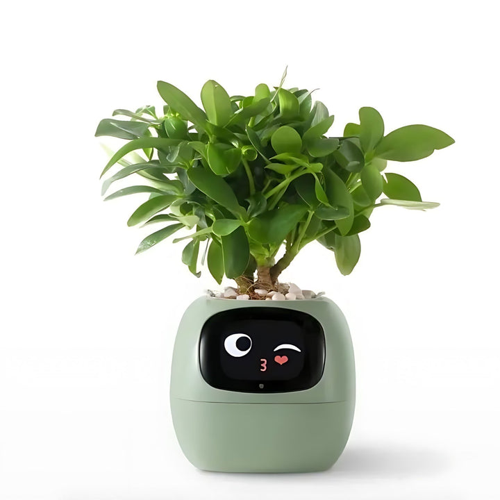 Skanto | Automatisk Smart Blomsterpotte - GreenBuddy SmartPot