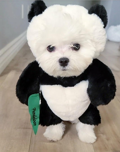 Skanto | Pandaloon Hund og Katt Kostyme Sett