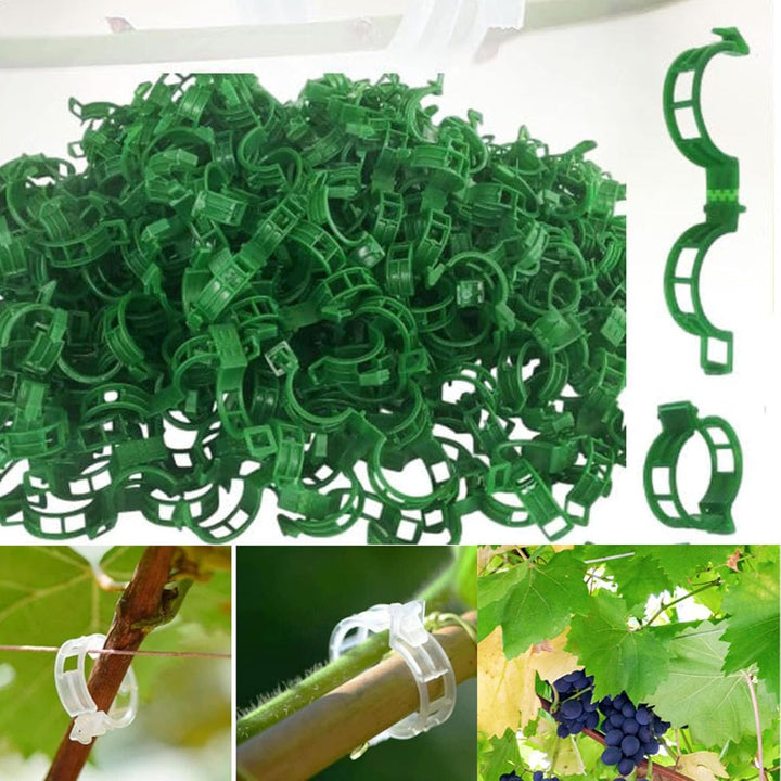 Skanto | Tomatklips, Plast Pergola Klips