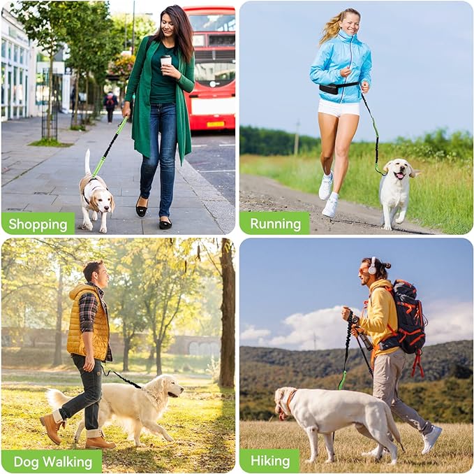 Skanto | PawsFree Pro – Nyt stressfrie turer med hunden din