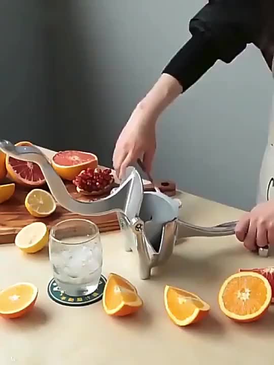 Sumba Juicer - Multifunksjonell Fersk Juice Maskin for Hjemmebruk Skanto