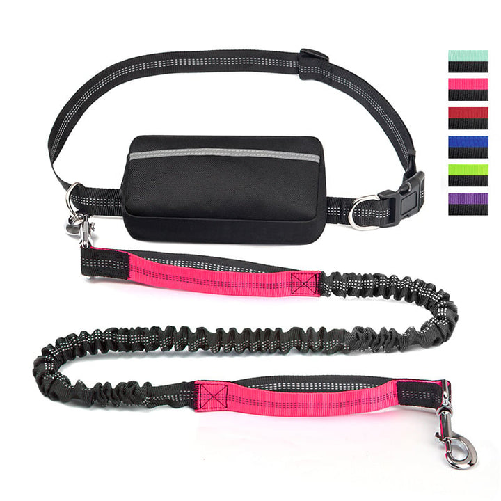 Skanto | PawsFree Pro – Nyt stressfrie turer med hunden din