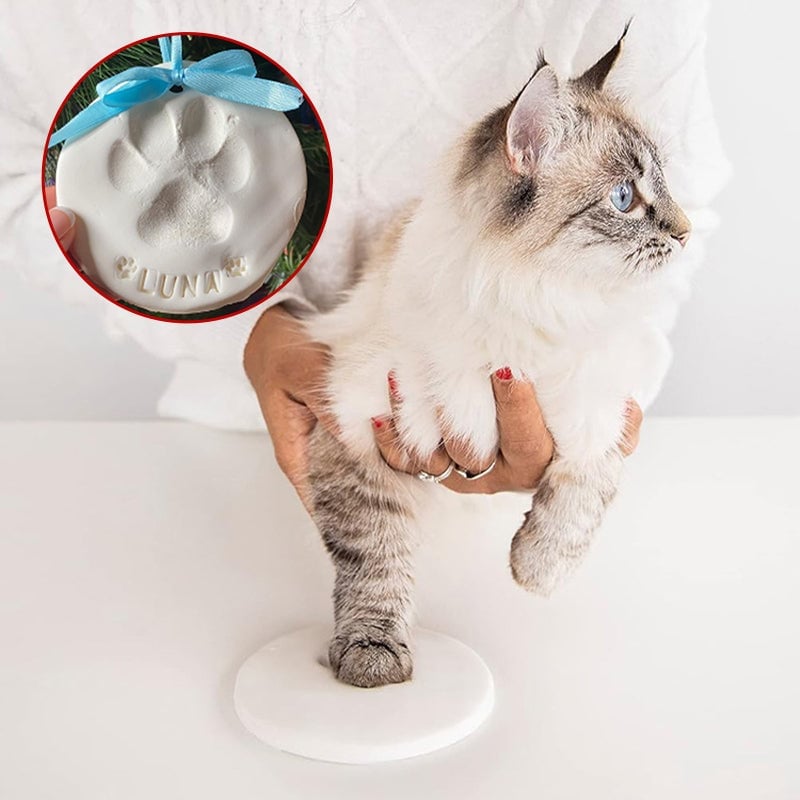 Skanto | Clay Pet Paw Impression Moulding Kit