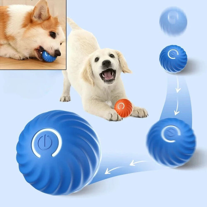 Skanto | MAXIME PLAYER – Intelligent lekeball med automatisk bevegelse for aktive hunder