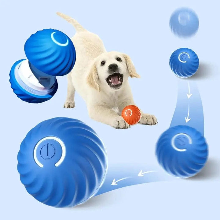 Skanto | Interaktiv Hundeball - Auto-Rullende - Moro Spill