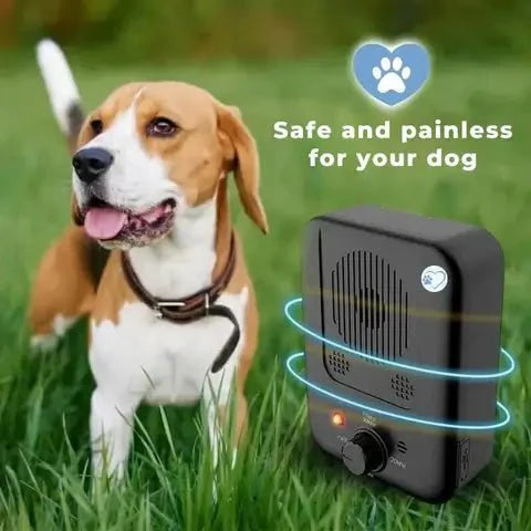 BarkGuard – Den ultimate anti-bjeffingen