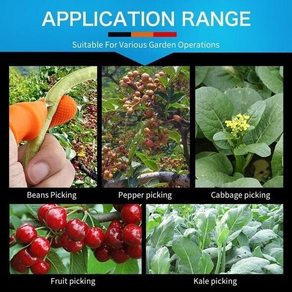 Skanto | JardinZen | Vekk din hagefred