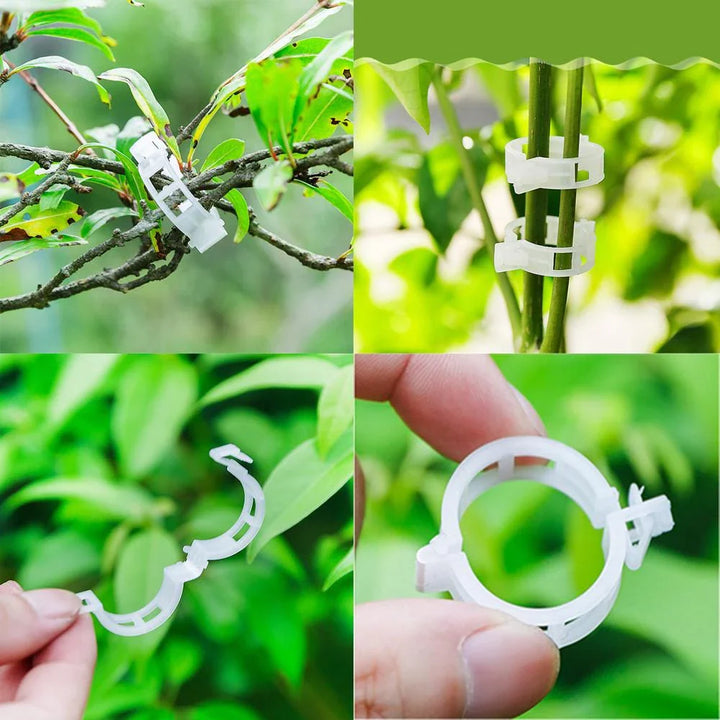 Skanto | Plante støtteklips for klatreplanter – Fleksibel holder for plante stengler
