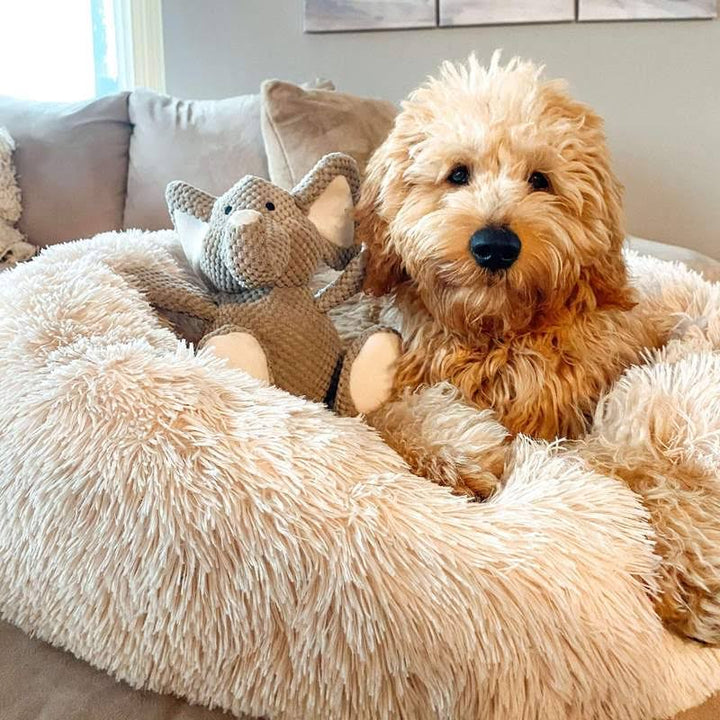Skanto | Ortopedisk Plysj Donut Hundeseng