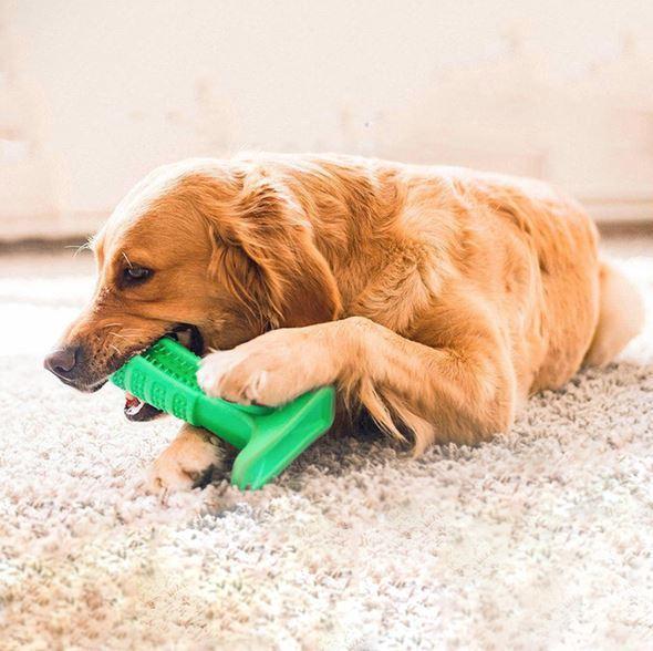 Skanto | Bite n Brush Pet Tannbørste