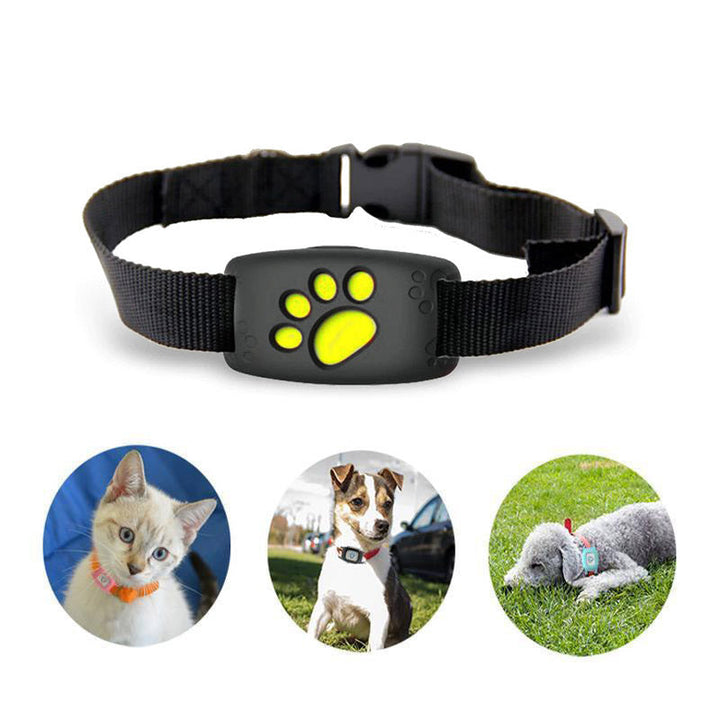 Skanto | Pet GPS Tracker CollarCat – Ingen abonnement og vanntett
