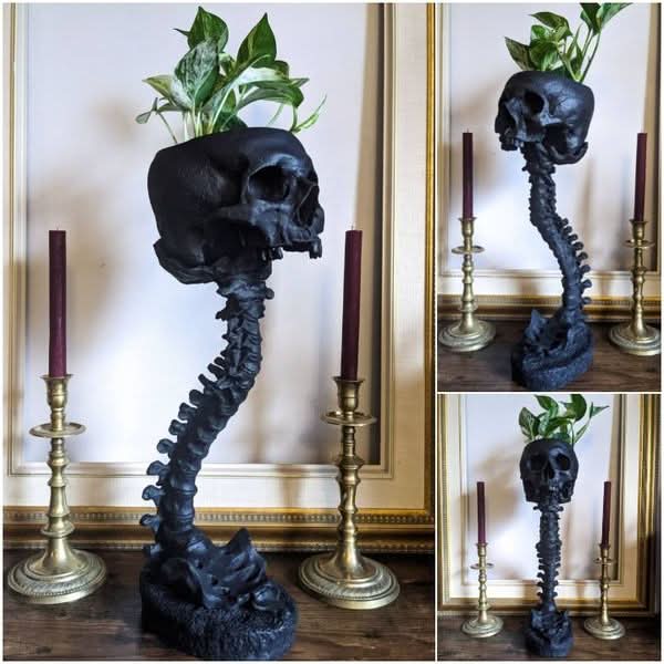 Skanto | BoneBloom | Planter med Hodeskalle og Ryggsøyle