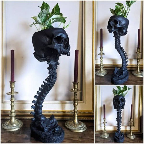 Skanto | BoneBloom | Planter med Hodeskalle og Ryggsøyle