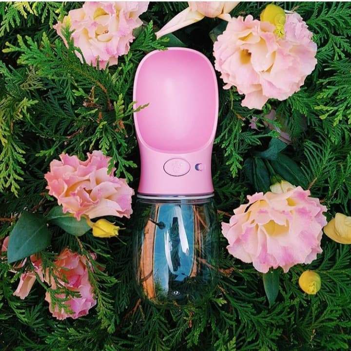 Skanto | Spillproof Pet Water Bottle