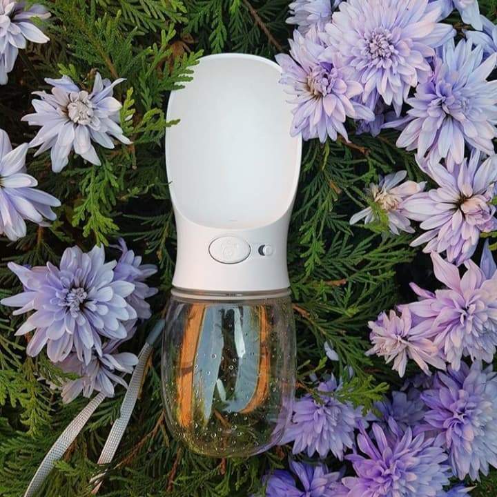 Skanto | Spillproof Pet Water Bottle