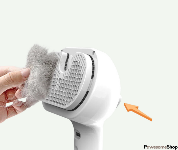 Pet Steam Brush with Steam Cleaning | Skanto