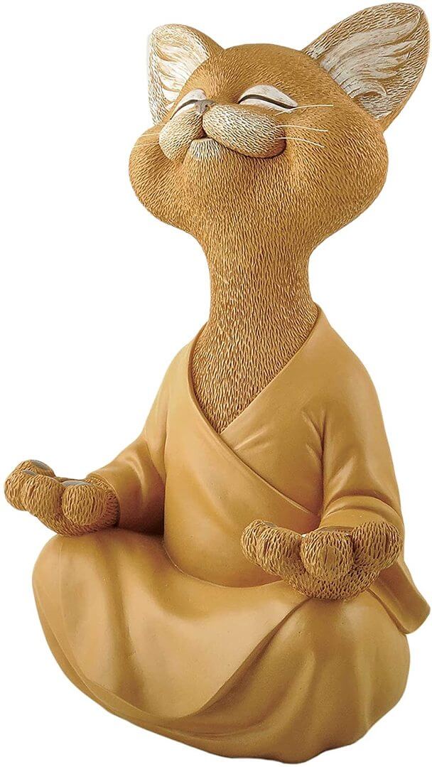 Skanto | Buddha katt med et meditativt uttrykk og spirituell budskap