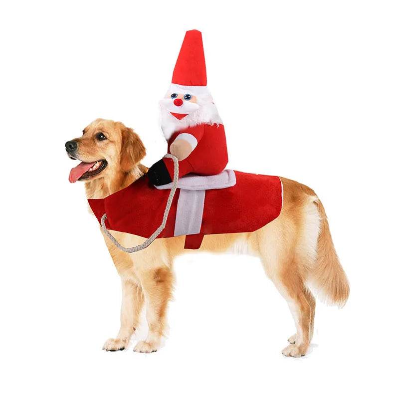 Skanto | Santa riding outfit