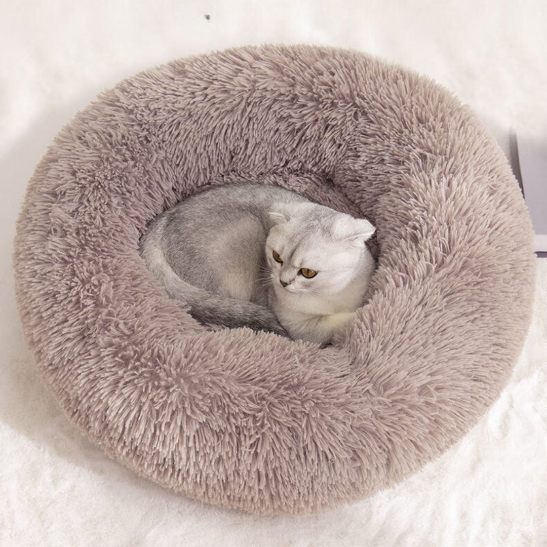 Koselig Sky Katt Seng Skanto