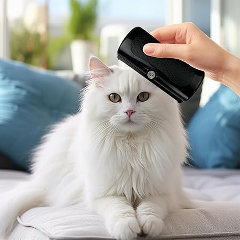 Skanto | FurMaster – For a clean, shiny, and happy pet