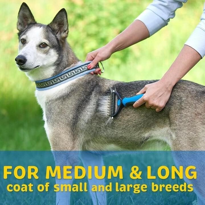 Skanto | Pet Safe Dematting Karde