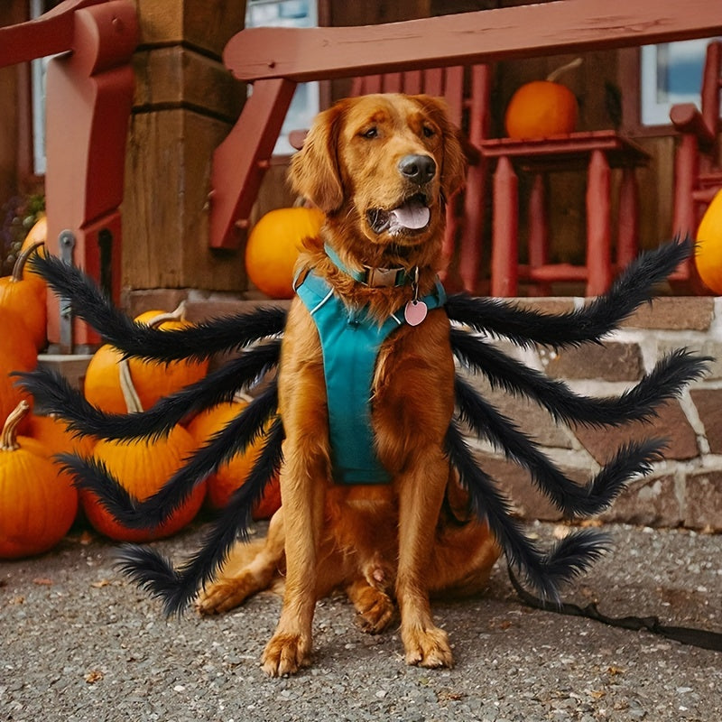Skanto | Morsomt Pelshund Halloween Kostyme | Edderkopp Design