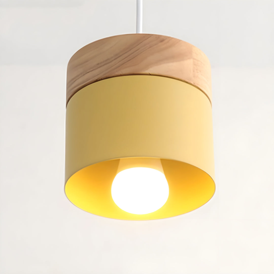 Loft Style Macaron Pendellampe | Skanto