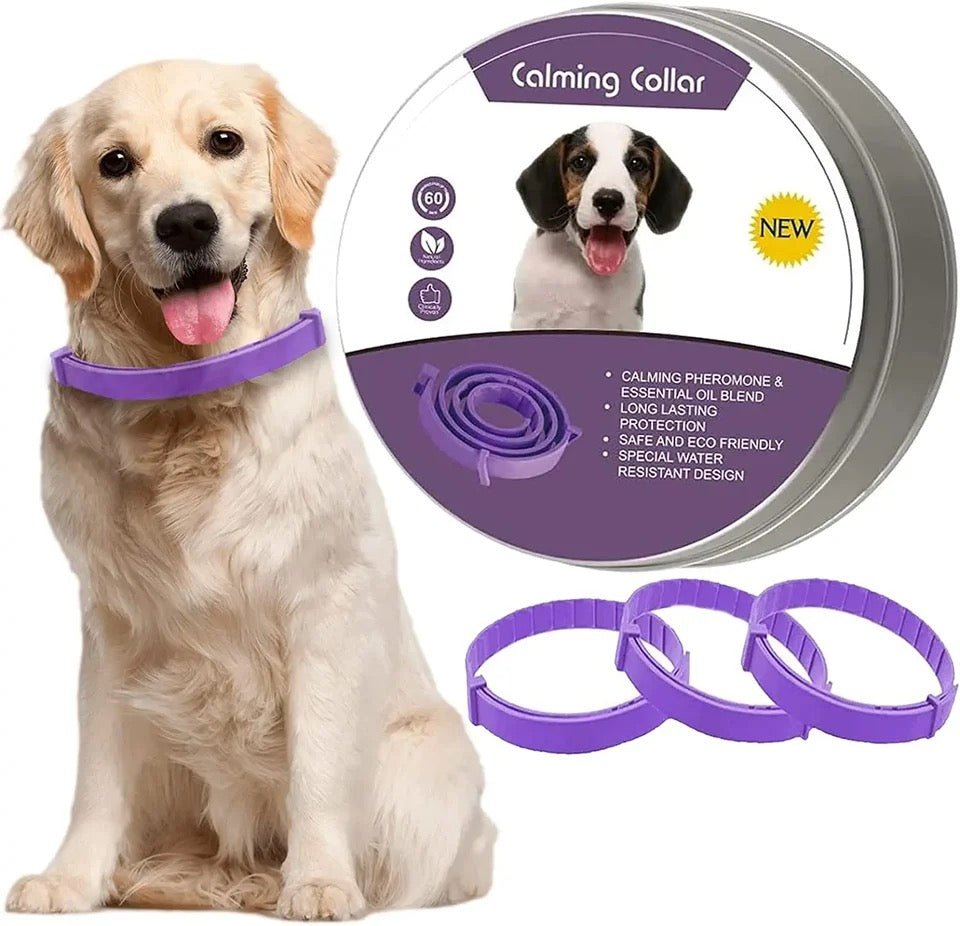 Skanto | Calmdog – Naturlig beroligende krage for hunder med feromoner og essensielle oljer