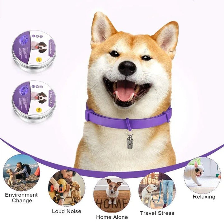 Skanto | Calmdog – Naturlig beroligende krage for hunder med feromoner og essensielle oljer