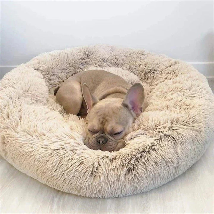 Skanto | SLUMBERPAWS SENG – Beroligende Hundeseng for Dyp, Hvilefull Søvn