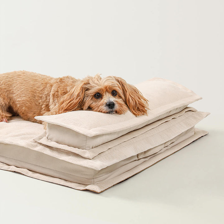 Beroligende Hundeseng - CozyCalm Dyp Søvn Bolleheis