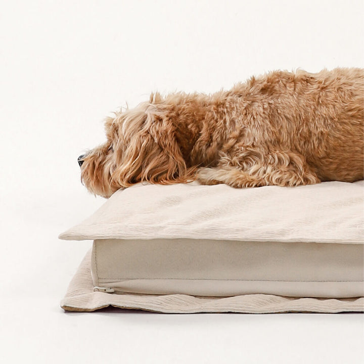 Beroligende Hundeseng - CozyCalm Dyp Søvn Bolleheis