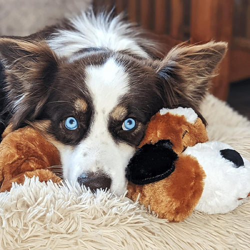 Norvo | Snuggle Puppy - Angsts- og ensomhetsdempende kosedyr