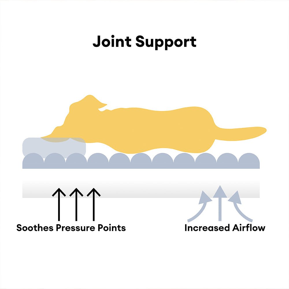 Norvo | CANILUX – Ortopedisk Hundeseng med Hevet Hodepute & Myk Pute