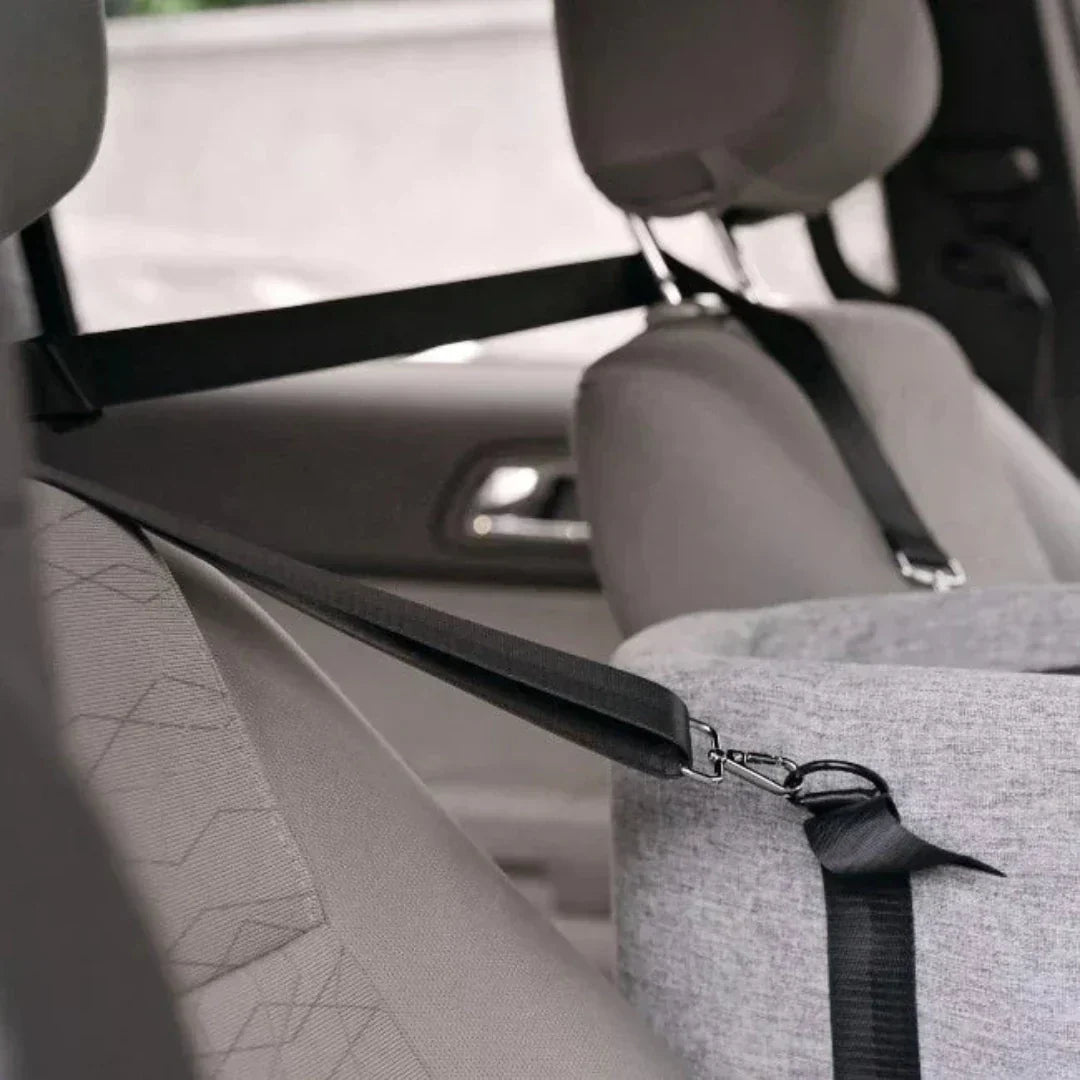 Norvo | Bil hundesete PetCruza | Sikker & Polstret | For Små Hundar opptil 11 kg | Enkel å Installere