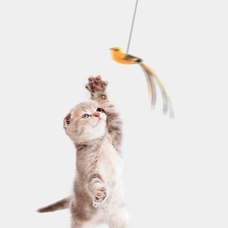 Skanto | Katt leke - HunterCat™