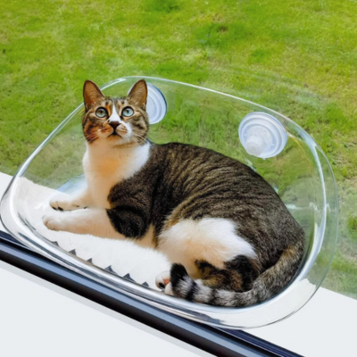 Kattvindu - KittyView Skanto