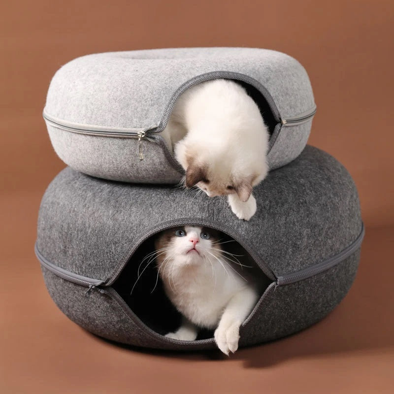 Skanto | Interaktiv Donut Katt Hule