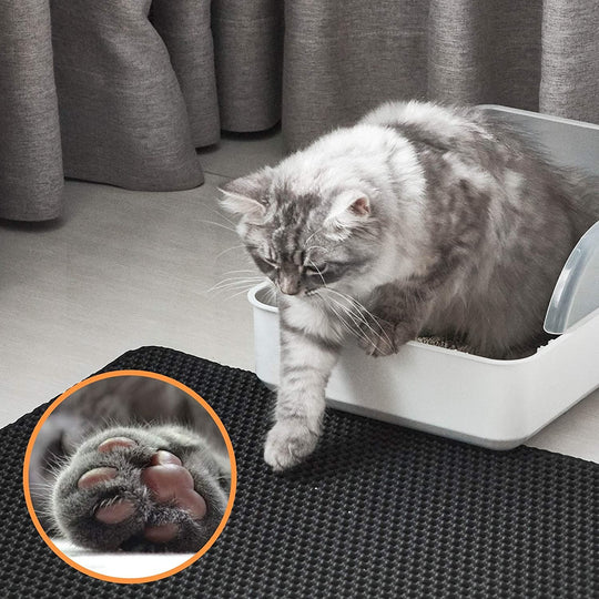 Skanto | Katt litter mat med dobbeltlags fangst og sklisikker base – PawGuard