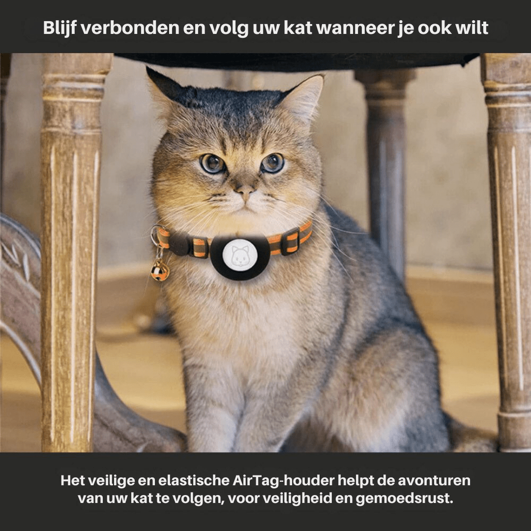 Skanto | CATSAFE TRACK – GPS sporingshalsbånd for sikkerhet og synlighet på katter