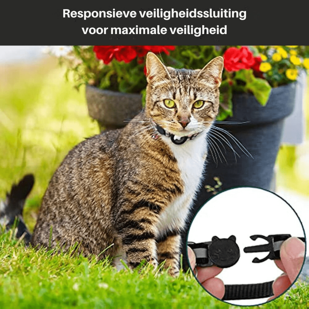 Skanto | CATSAFE TRACK – GPS sporingshalsbånd for sikkerhet og synlighet på katter