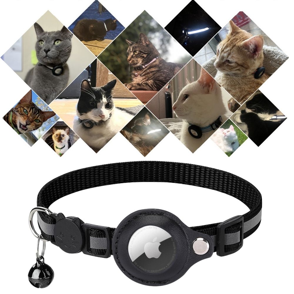 Skanto | CATSAFE TRACK – GPS sporingshalsbånd for sikkerhet og synlighet på katter