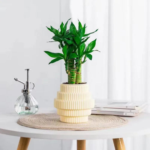 Skanto | Selvvanndende hydroponisk plantepotte – Moderne kontorinnredning