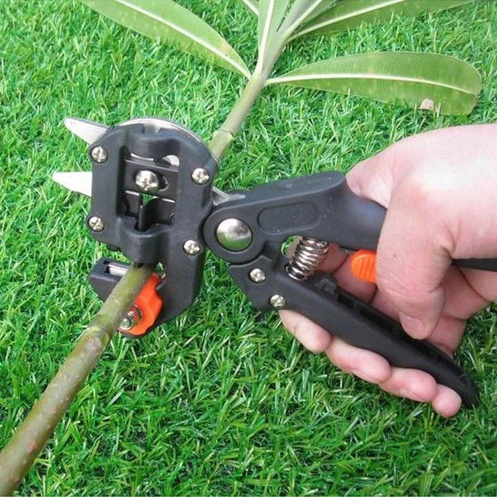 Skanto | SécateurPro | Bloom hagen din med lidenskap