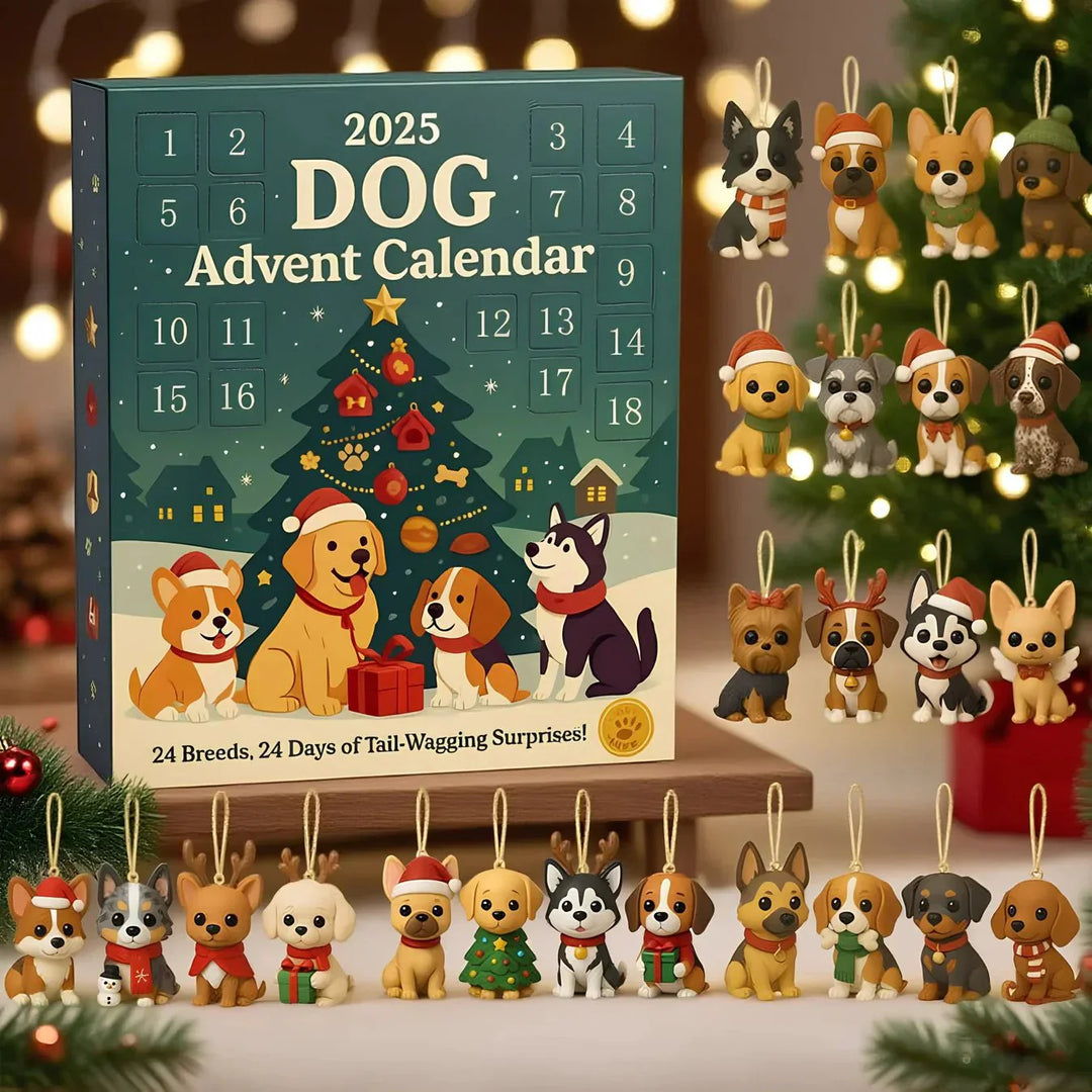 Skanto | Pawfect | 2025 Morsom Hund Adventskalender Festgave