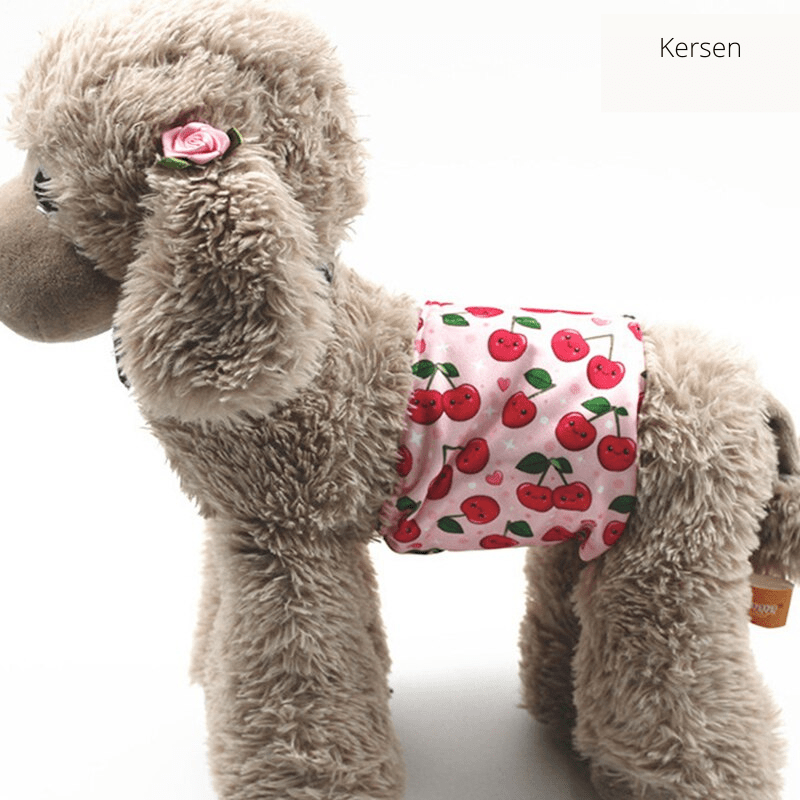 Norvo | PUPDRY Gjenbrukbar – Lekkasjefri Bleie for Inkontinens og Trening