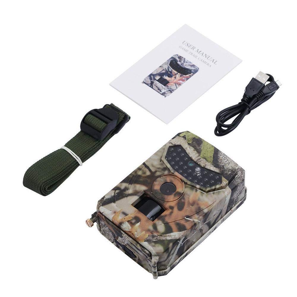 Skanto | Clear Vision Trail Camera